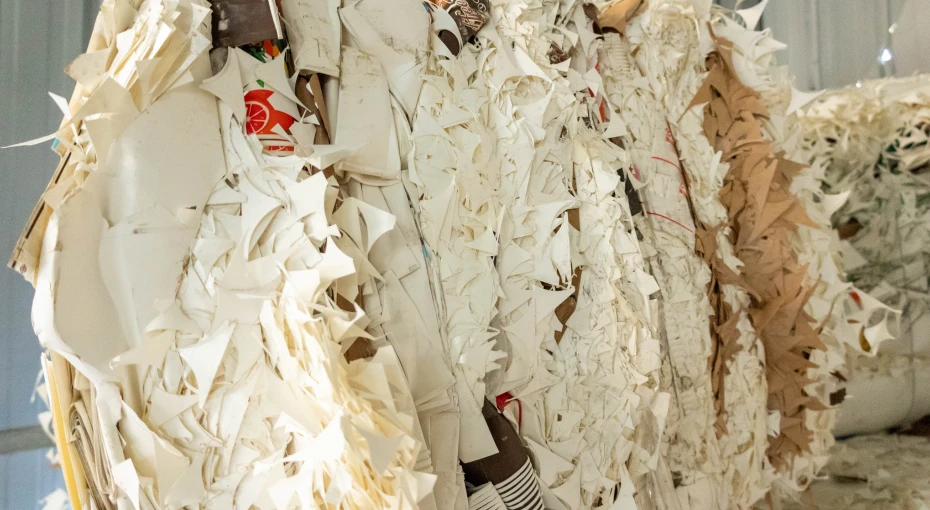 sustainability_s05_4